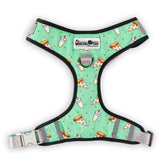 Pizza Party Premium Dog Harness