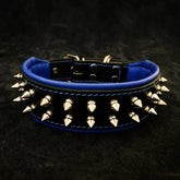 Frenchie Spiked Leather Dog Collar