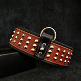 Star Studded Leather Dog Collar & Leash Set