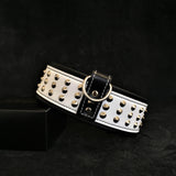 Star Studded Leather Dog Collar & Leash Set