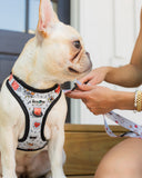 "Bad To Bone" Durable Dog Harness