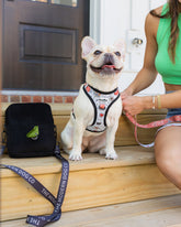"Bad To Bone" Durable Dog Harness