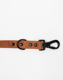 Premium Coco Durable Dog Leash