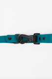 Forest Green Premium Dog Leash
