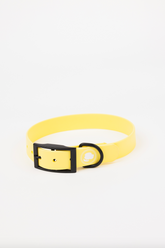 Daffodil Yellow Premium Dog Collar