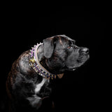 The Candy Black Wide Soft Leather Dog Collar