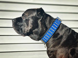 Star Studded Leather Dog Collar & Leash Set