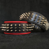 Danger Wide Spiked Leather Dog Collar