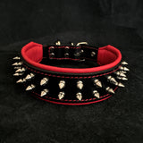 Frenchie Spiked Leather Dog Collar