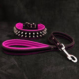 Spiked Pink Leather Dog Collar & Leash