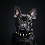 Frenchie Spiked Leather Dog Collar