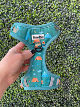 Camping Premium Dog Harness