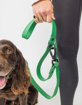 Premium Clover Durable Dog Leash