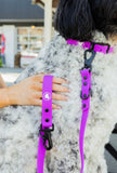 Electric Fuchsia Premium Dog Leash