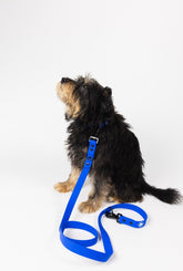 Royal Blue Durable Dog Leash