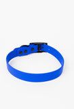Royal Blue Durable Dog Collar