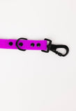 Electric Fuchsia Premium Dog Leash