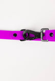 Electric Fuchsia Premium Dog Leash