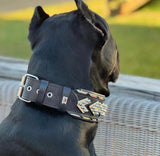 Midas Spiked Silver Leather Dog Collar