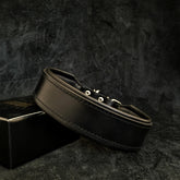 Stylish All Black & Brown Leather Dog Collar