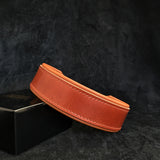 Stylish All Black & Brown Leather Dog Collar