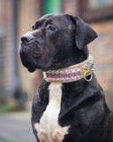 The Candy Black Wide Soft Leather Dog Collar