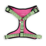 Pink Tropics Padded Dog Harness
