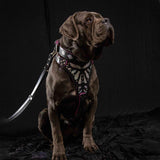 Ariel Glitter Padded Leather Dog Collar