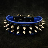 Frenchie Spiked Leather Dog Collar