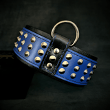 Star Studded Leather Dog Collar & Leash Set