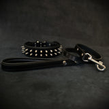 Black Spiked Leather Dog Collar & Leash