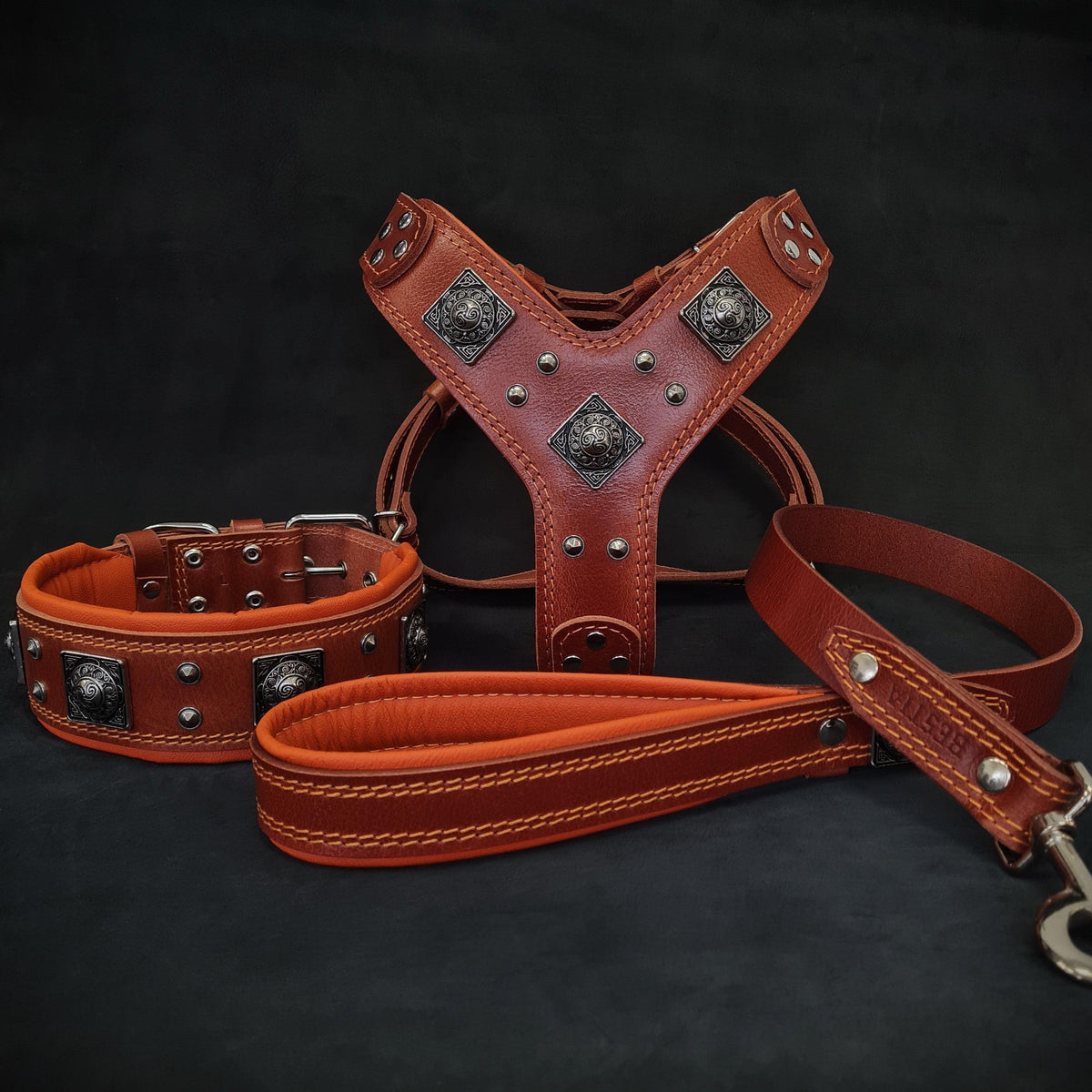 Vervia All-Day Comfort Set of Dog Collar, Harness & Leash