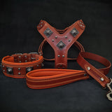 Vervia All-Day Comfort Set of Dog Collar, Harness & Leash