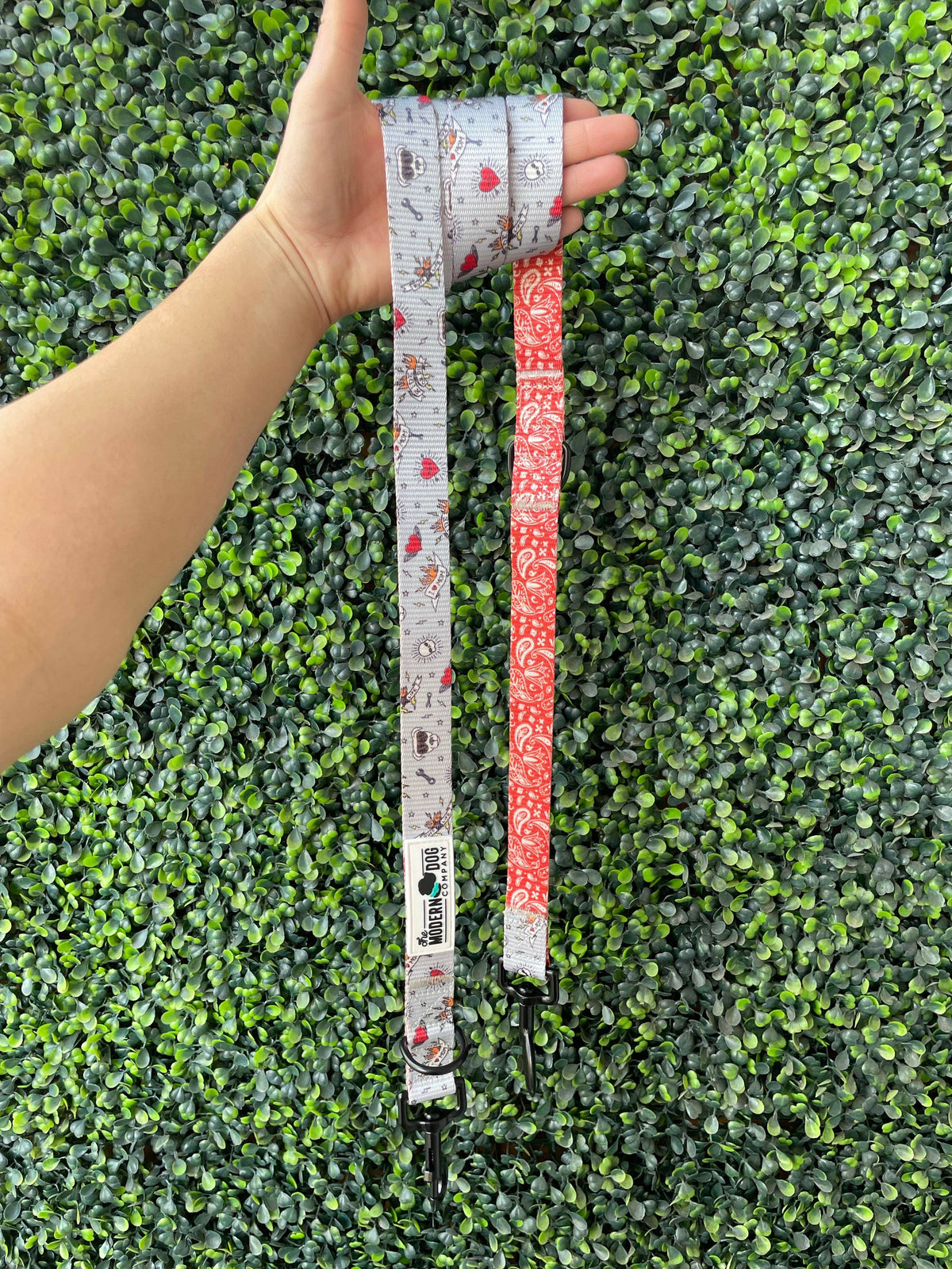 "Bad To Bone" Durable Dog Leash