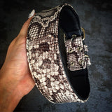 Rock Python Leather Dog Collar