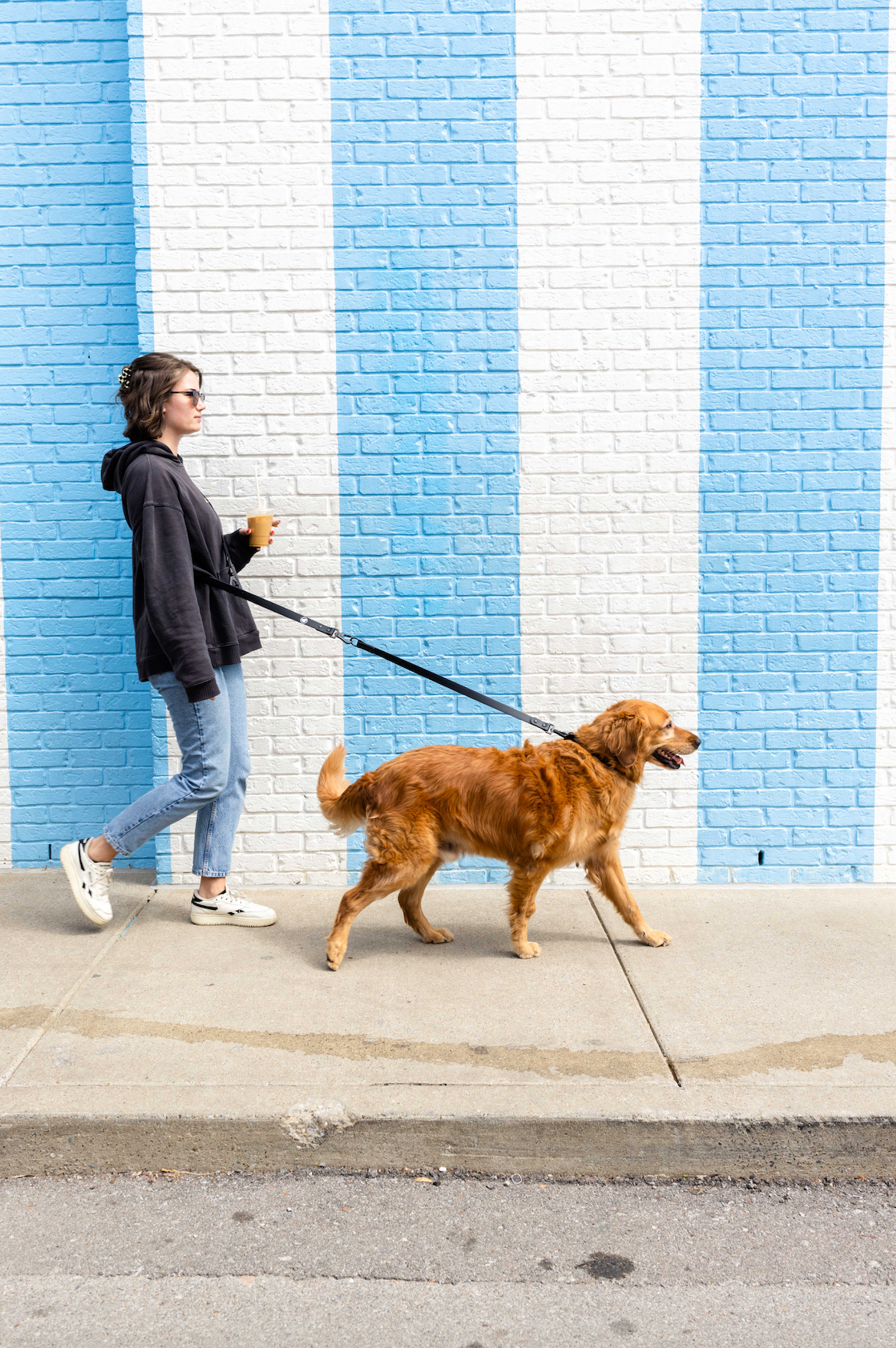 Black Extension Premium Dog Leash