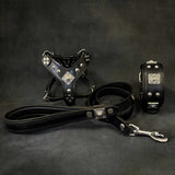 Torton All-Day Comfort Set Of Dog Collar, Harness & Leash