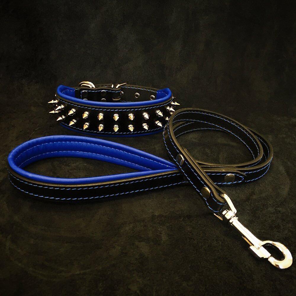 Blue & Black Spiked Leather Dog Collar & Leash Set