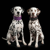 Crystal Double-Layer Soft Leather Dog Collar