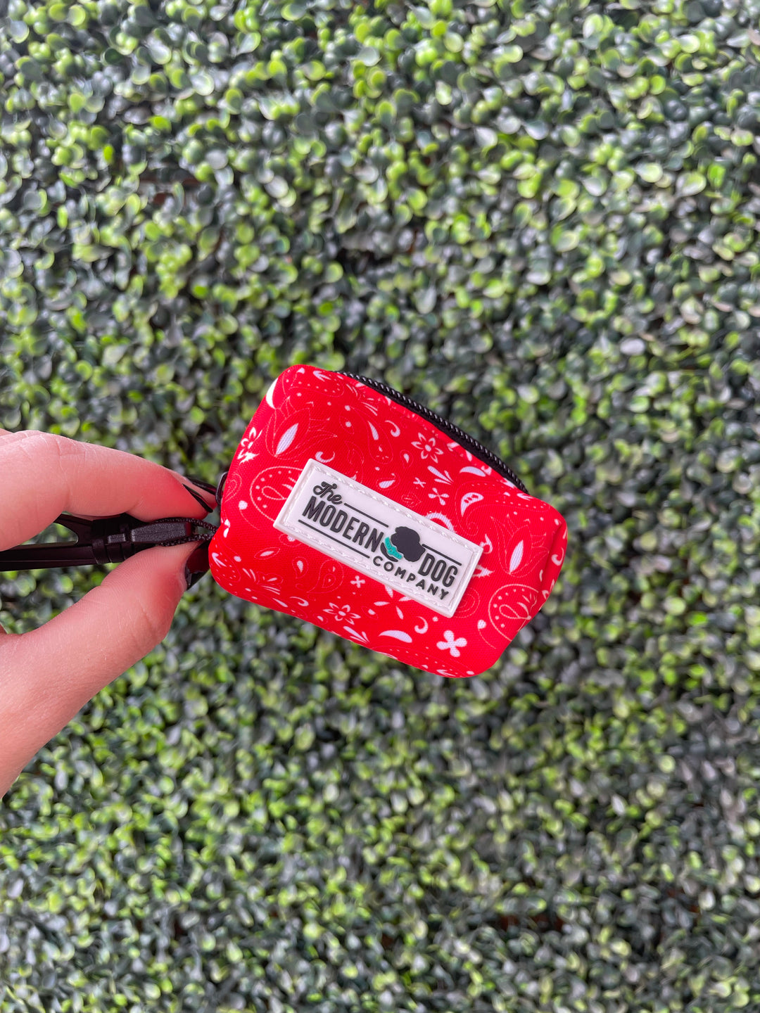 Red Paisley Outdoor Dog Gear