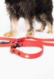 Ruby Red Durable Dog Leash