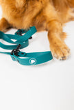 Forest Green Premium Dog Leash