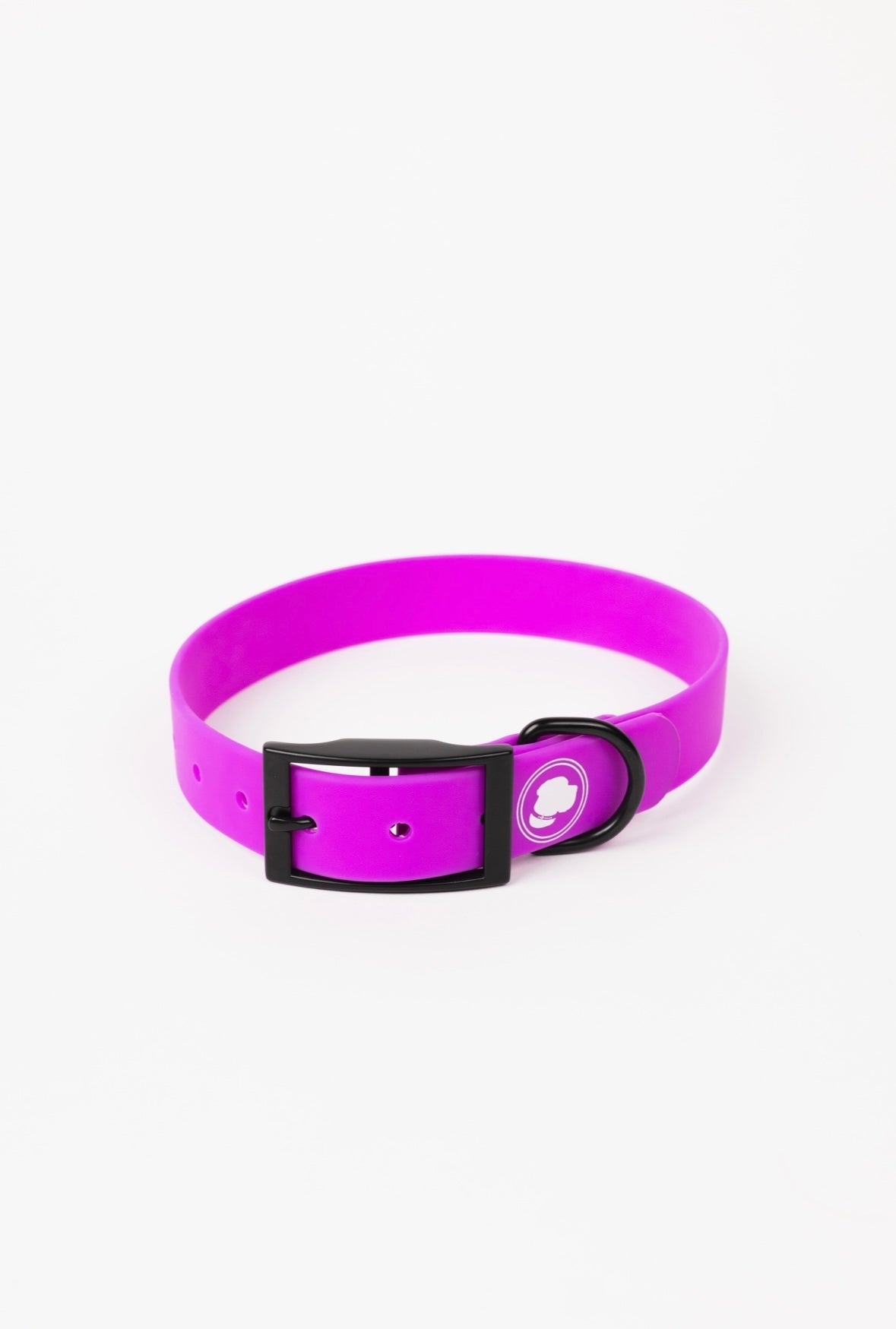 Electric Fuchsia Premium Dog Collar