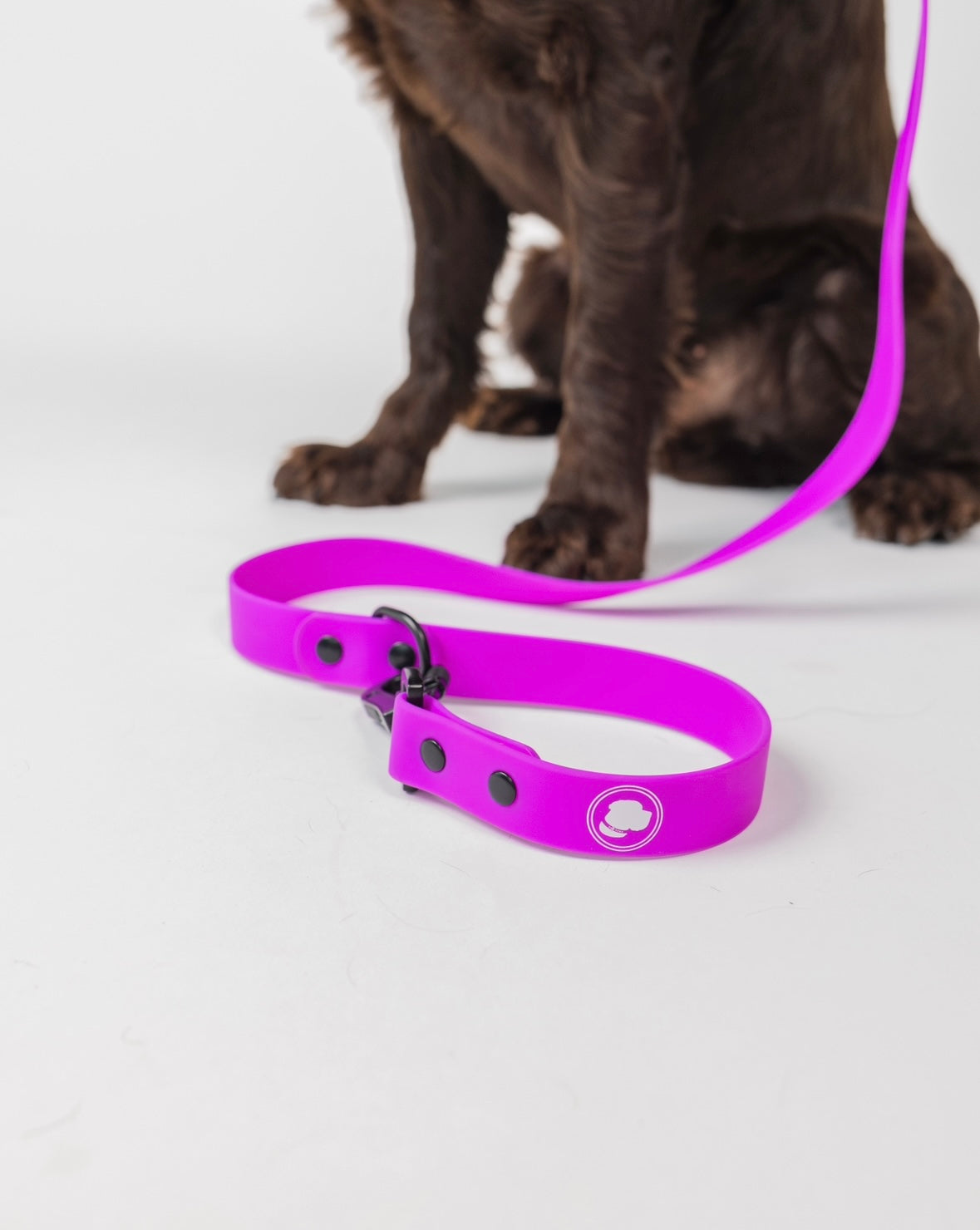 Electric Fuchsia Premium Dog Leash