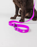 Electric Fuchsia Premium Dog Leash
