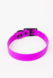 Electric Fuchsia Premium Dog Collar
