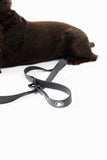 Better In Adjustable Dog Leash