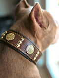 Maximus Brown & Gold Leather Dog Collar