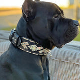 Midas Spiked Silver Leather Dog Collar