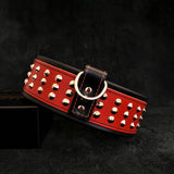 Star Studded Leather Dog Collar & Leash Set